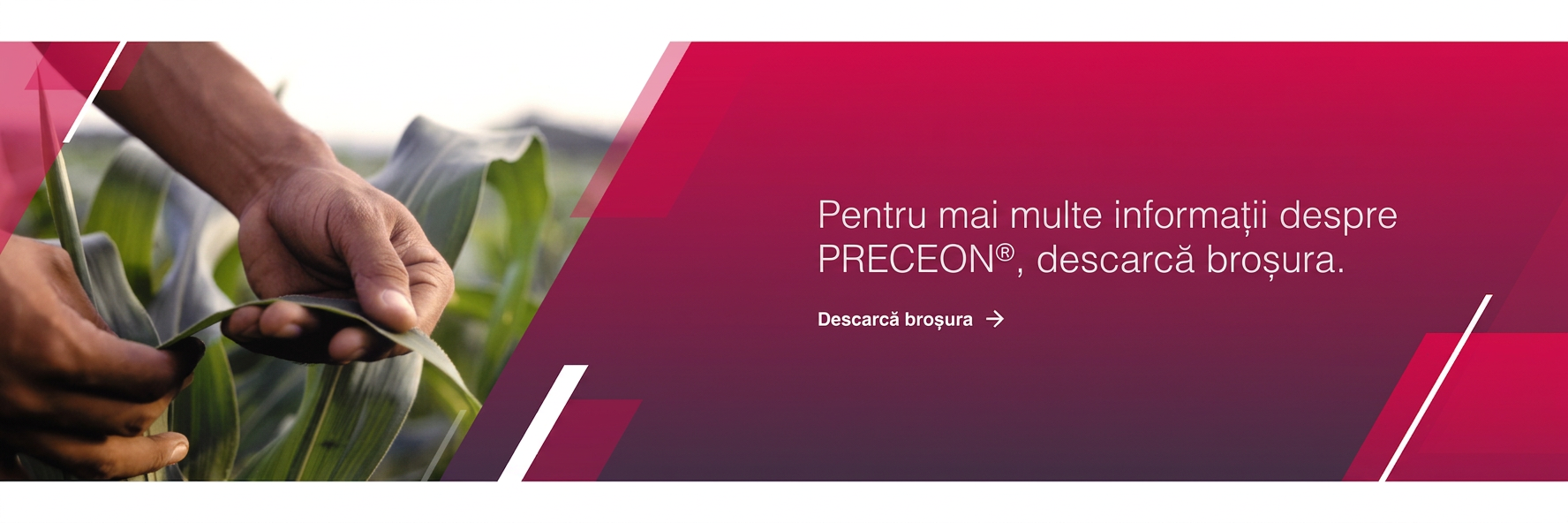 descarca brosura.png